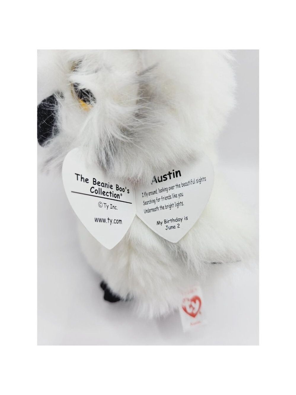 Ty Beanie Boo 'Austin' the White Owl (6 inch) - Picture 4 of 5